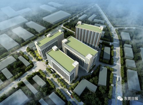 總投資超300億 東莞44個(gè)重大項(xiàng)目集中開工